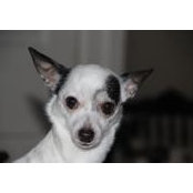Sally Teed's photo
