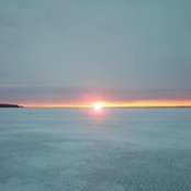 Adam Hannah's photo