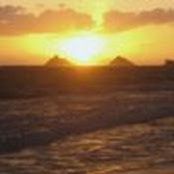 Deena Walter's photo