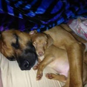 Jennifer Setzer's photo