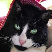 Sharon Korzep's photo