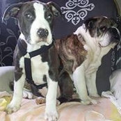 Sabrina Ehrhardt's photo