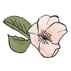 Sub Rosa Gardens