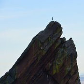 David Zimmerman's photo