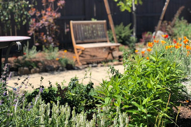 Inspiration for a mid-sized southwestern drought-tolerant and full sun backyard garden path in Other.