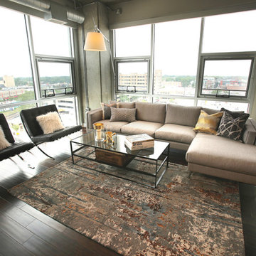 Royal Oak, MI  Contemporary Loft with Incredible View