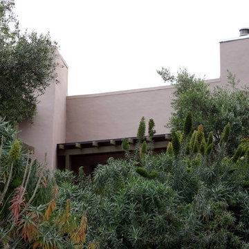 Family Compound