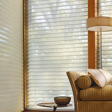 Window Sheers and Shadings