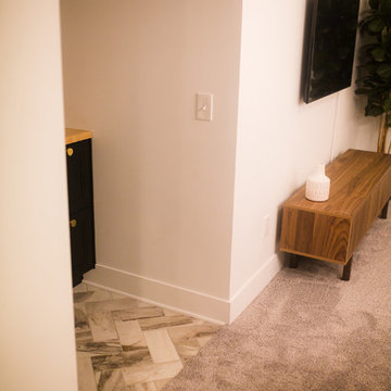 Nelson Basement Project