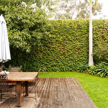 garden ideas