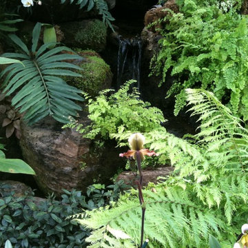 Tropical stream