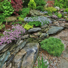 front landscaping