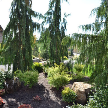 Driveway Island