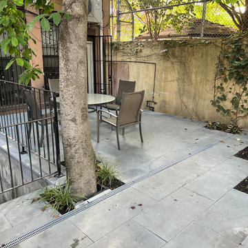 Modern Urban Shade Garden
