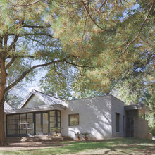 Cedar - WD