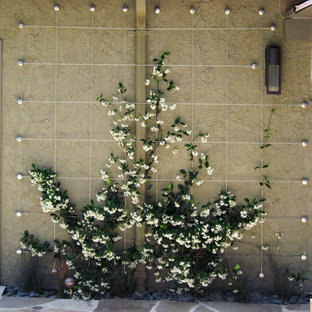 Großer, Halbschattiger Eklektischer Garten hinter dem Haus in Los Angeles