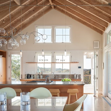 Swede Hill House
