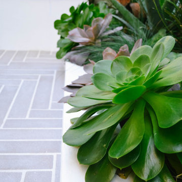 Small Space Courtyard