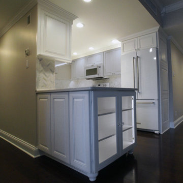 Compact Luxury Condominium Kitchen