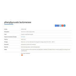 phenylpyruvate tautomeras - Products