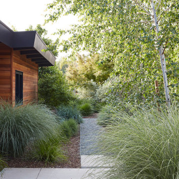 Los Gatos Garden