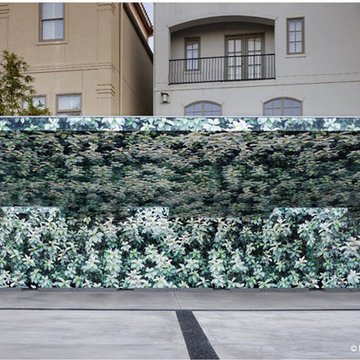 Meredith Long Gallery