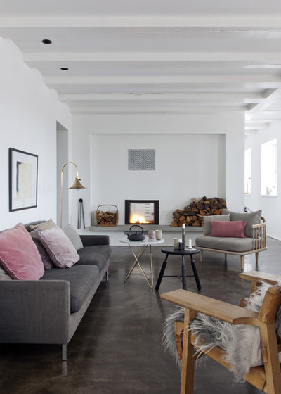 Scandinavian Living Room by Raul Candales