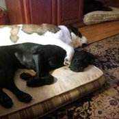 Jacqueline Faubert's photo