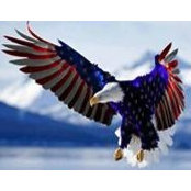 Lynn Acuff-Zant's photo