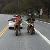 Pat Halleen's photo