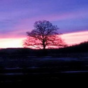 Tina Pachmayer's photo