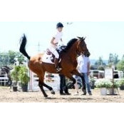 Norina Weiler's photo