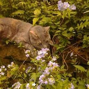 Foto von Tiffany Tourdot-Butterbrodt