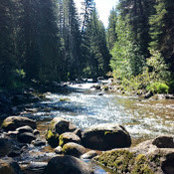 Martin Petrovich's photo