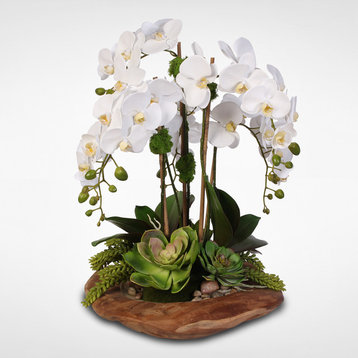Real Touch 6-Stem Phalaenopsis Silk Orchids with Succulents in Natural Wood Bowl