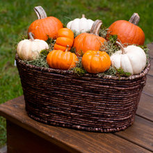 fall decor