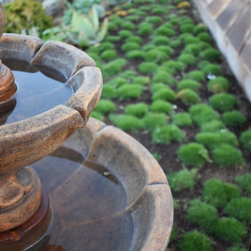 Encinitas Sacred Geometry Patio