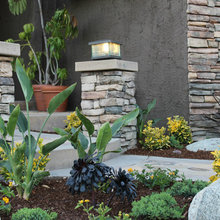 Frontyard
