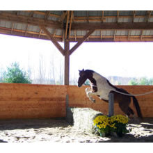 Farm: Covered Round Pen