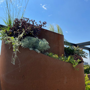 Borough Park Modern Rooftop
