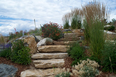 Design ideas for a mid-sized traditional backyard garden in Denver with a garden path.