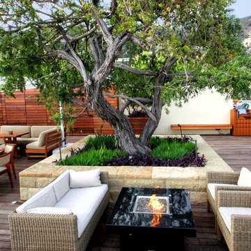 Cooke Santa Barbara Fire Pit Table