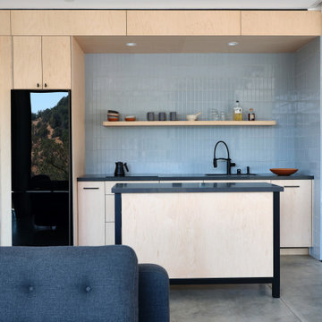 Sonoma County Leit House