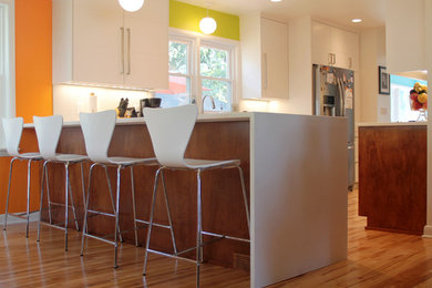 Design ideas for a midcentury kitchen in Milwaukee.