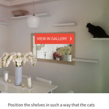 Cat Furniture