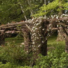 pergola