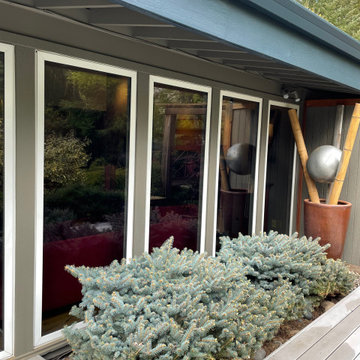 Soothing colors for a tranquil garden