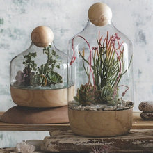 Terrariums