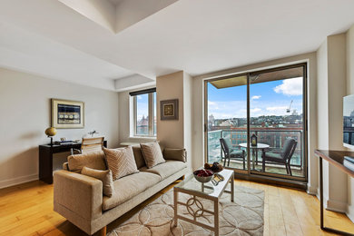 Living room - contemporary living room idea in New York