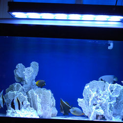 LED Aquarium Light - Products